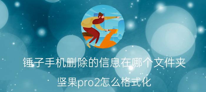 锤子手机删除的信息在哪个文件夹 坚果pro2怎么格式化？